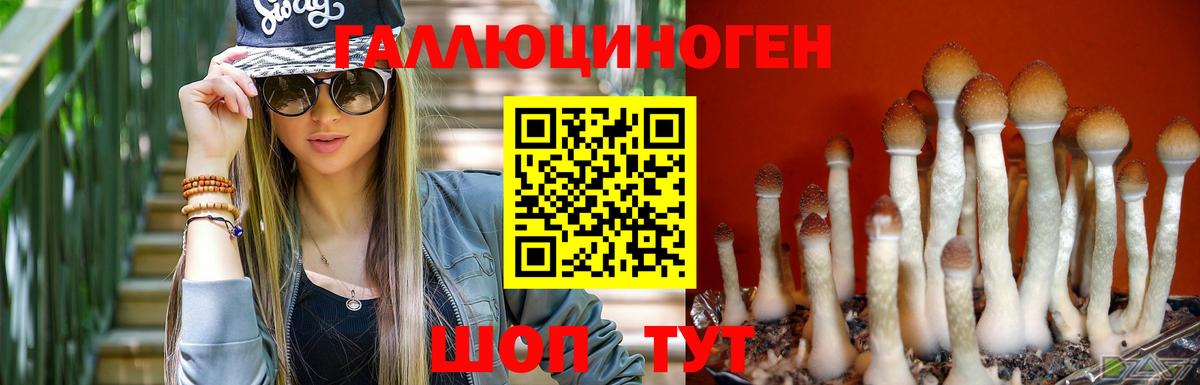 Вязьма  Псилоцибиновые грибы Psilocybine cubensis  Вход с VPN  Псилоцибиновые грибы GOLDEN TEACHER 